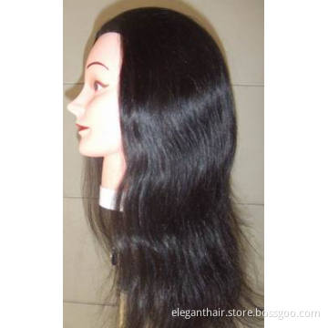 Training Head (TH-001)